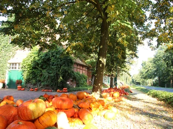 Hof Schröter & Wielage