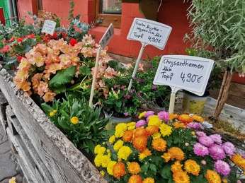 Hofladen Fangmeier & Heikes Blumenstube