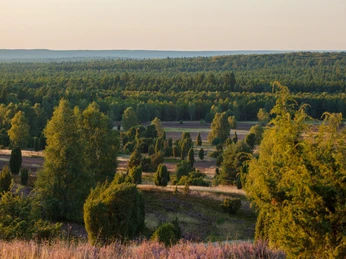 wilseder-berg-heidelandschaft