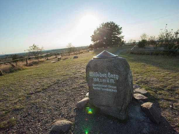 Stein auf dem Wilseder Berg