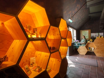 bienenwelten-niederhaverbeck In einem modernen Raum mit dunklen Wänden leuchten hölzerne, wabenartige Regale warm, während ein Fenster Tageslicht und eine Angestellte sichtbar sind.