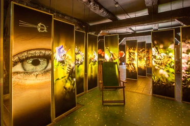 bienenwelten-niederhaverbeck-innen Eine stimmungsvolle Installation mit großen Tafeln voller detailreicher Makrofotos von Bienen, flankiert von einem überlebensgroßen menschlichen Auge. Die Beleuchtung erzeugt eine warme, einladende Atmosphäre im Raum, der durch einen Holzstuhl inmitten dieser faszinierenden Darstellungen ergänzt wird.