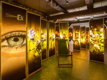 bienenwelten-niederhaverbeck-innen Eine stimmungsvolle Installation mit großen Tafeln voller detailreicher Makrofotos von Bienen, flankiert von einem überlebensgroßen menschlichen Auge. Die Beleuchtung erzeugt eine warme, einladende Atmosphäre im Raum, der durch einen Holzstuhl inmitten dieser faszinierenden Darstellungen ergänzt wird.