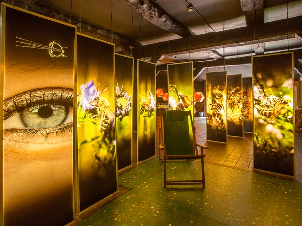 bienenwelten-niederhaverbeck-innen Eine stimmungsvolle Installation mit großen Tafeln voller detailreicher Makrofotos von Bienen, flankiert von einem überlebensgroßen menschlichen Auge. Die Beleuchtung erzeugt eine warme, einladende Atmosphäre im Raum, der durch einen Holzstuhl inmitten dieser faszinierenden Darstellungen ergänzt wird.