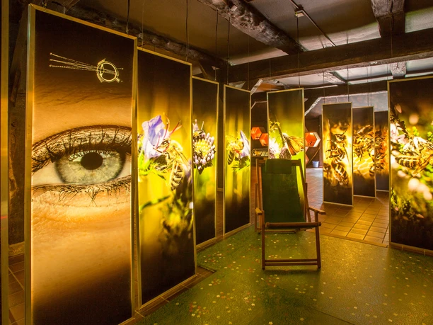 bienenwelten-niederhaverbeck-innen Eine stimmungsvolle Installation mit großen Tafeln voller detailreicher Makrofotos von Bienen, flankiert von einem überlebensgroßen menschlichen Auge. Die Beleuchtung erzeugt eine warme, einladende Atmosphäre im Raum, der durch einen Holzstuhl inmitten dieser faszinierenden Darstellungen ergänzt wird.