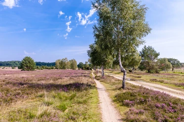Wanderweg Niederhaverbeck