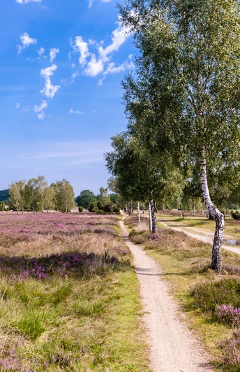 Wanderweg Niederhaverbeck