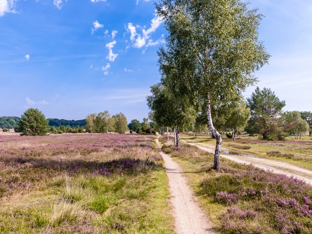 Wanderweg Niederhaverbeck
