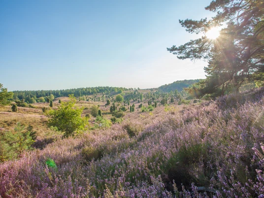 Bispingen Totengrund