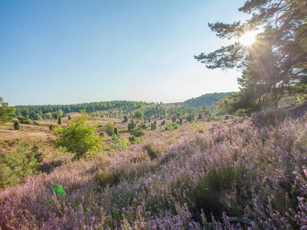 Bispingen Totengrund