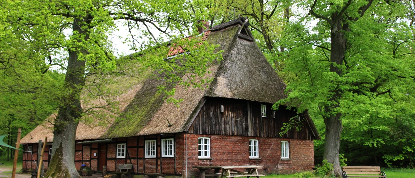 walderlebnis-ehrhorn