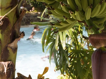 suedsee-camp-schwimmbad