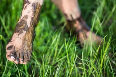 fuss-barfusspark-gras Ein nackter Fuß steht im grünen Gras, bedeckt mit natürlichem, heilendem Moor.