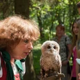 greifvogelgehege-bispingen Frau präsentiert Kindern einen GreifvogelWoman presents a bird of prey to childrenKvinde præsenterer en rovfugl for børnVrouw presenteert roofvogel aan kinderen