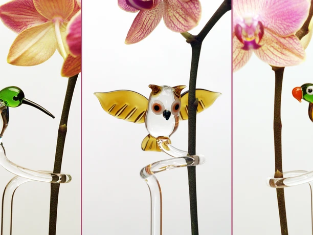 orchideenhalter-heide-glaskunst-