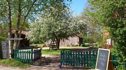 Melkhuske Schatteburg, Gemeinde Rhauderfehn, Ostfriesland Grüner Holzzaun öffnet sich zu einem Garten mit blühendem Baum, Holztischen und einem Schild mit der Aufschrift - Heute geöffnet
