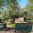 Melkhuske Schatteburg, Gemeinde Rhauderfehn, Ostfriesland Grüner Holzzaun öffnet sich zu einem Garten mit blühendem Baum, Holztischen und einem Schild mit der Aufschrift - Heute geöffnet