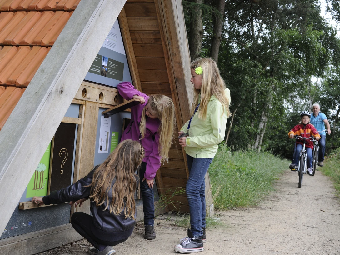 Vogelbeobachtungsturm in Füchtenfeld