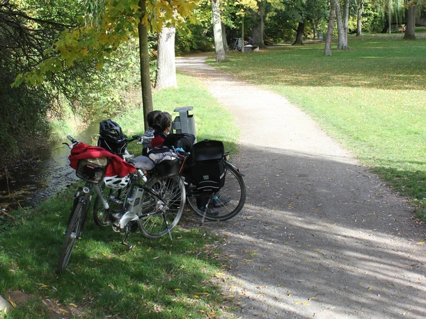 Zwei Fahrräder stehen an einem Schotterweg in einem herbstlichen Park, umgeben von Bäumen.