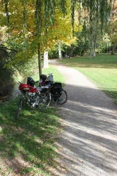 Radeln und Rasten Zwei Fahrräder stehen an einem Schotterweg in einem herbstlichen Park, umgeben von Bäumen.