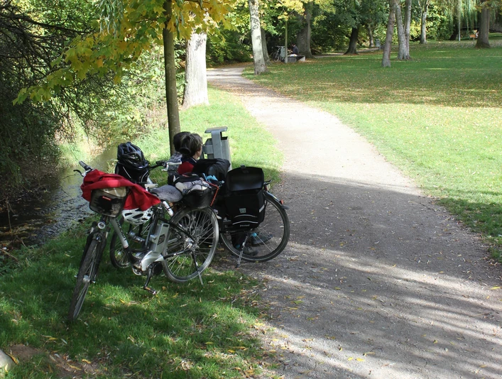 Radeln und Rasten Zwei Fahrräder stehen an einem Schotterweg in einem herbstlichen Park, umgeben von Bäumen.