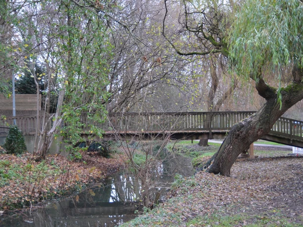 Herbstimpression der Maiwiese Herbstliche Szene in einem Park mit einer hölzernen Brücke über einem kleinen Bach, umgeben von Bäumen.