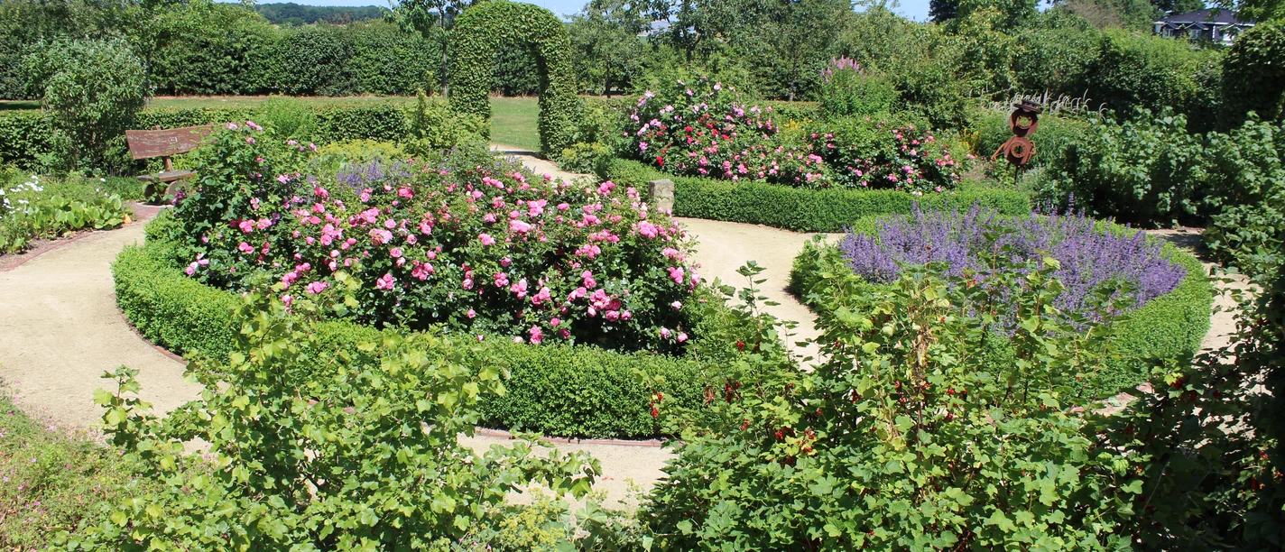 Bauerngarten Lorup Blühende Beete mit Rosen und Lavendel, umrahmt von Buchshecken und geschwungenen Gartenwegen.