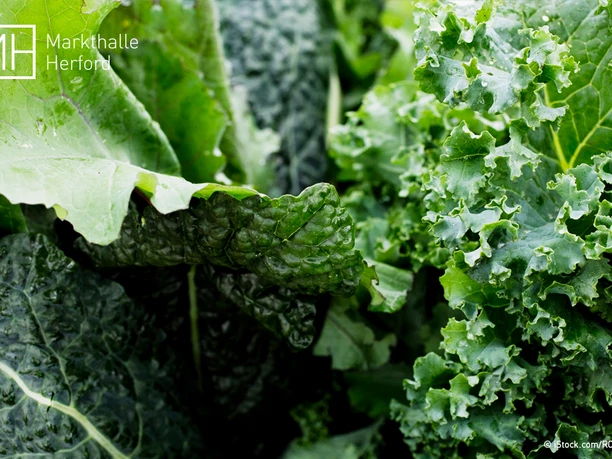 Cutting Fresh Pumpkins for Roasting in the Oven Cutting Fresh Pumpkins for Roasting in the Oven