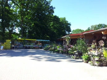 kiebitzmarkt-bispingen