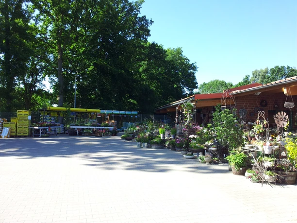 kiebitzmarkt-bispingen