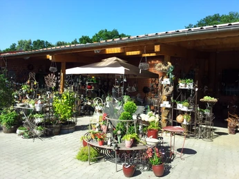 eingangsbereich-kiebitzmarkt-bispingen