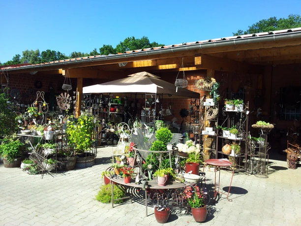 eingangsbereich-kiebitzmarkt-bispingen