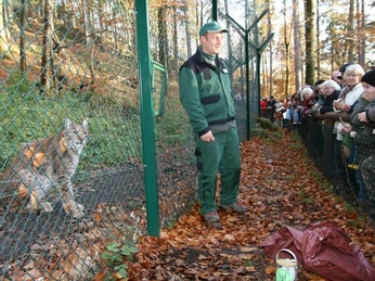 luchsgehege-bad-harzburg