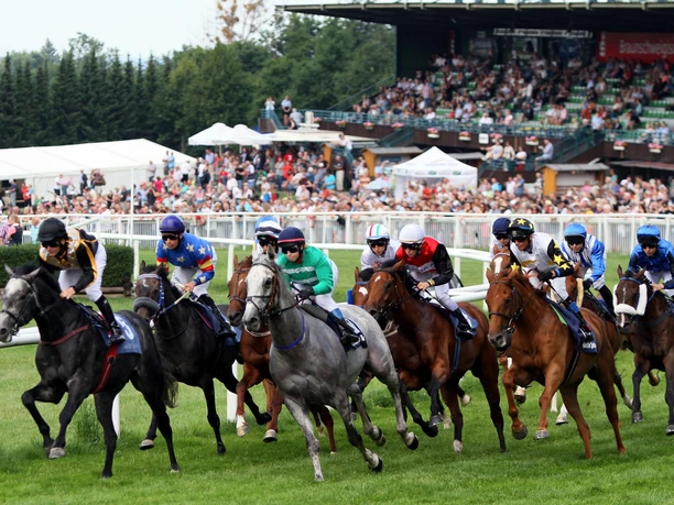 galopprennbahn-bad-harzburg