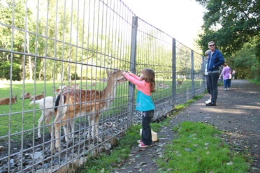 wildgehege-bad-harzburg