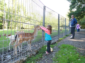 wildgehege-bad-harzburg