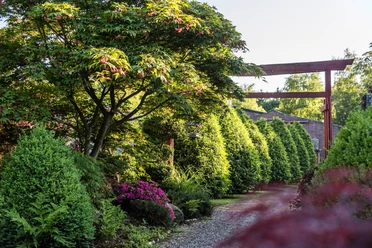 garten-landhof-tausendschoen-apen-3 Ein malerischer Garten mit üppigem Grün, einem Schatten spendenden Baum und blühenden Büschen säumt einen Kiesweg, der von einem rustikalen Holzbogen akzentuiert wird.