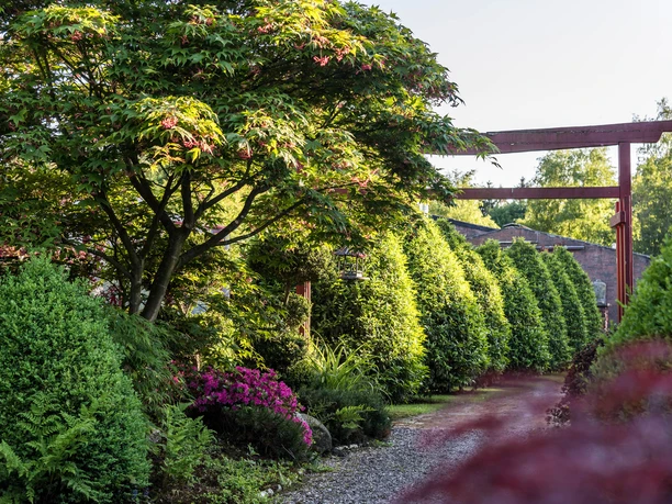 garten-landhof-tausendschoen-apen-3 Ein malerischer Garten mit üppigem Grün, einem Schatten spendenden Baum und blühenden Büschen säumt einen Kiesweg, der von einem rustikalen Holzbogen akzentuiert wird.