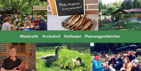 waldcafe-jungborn-bad-harzburg