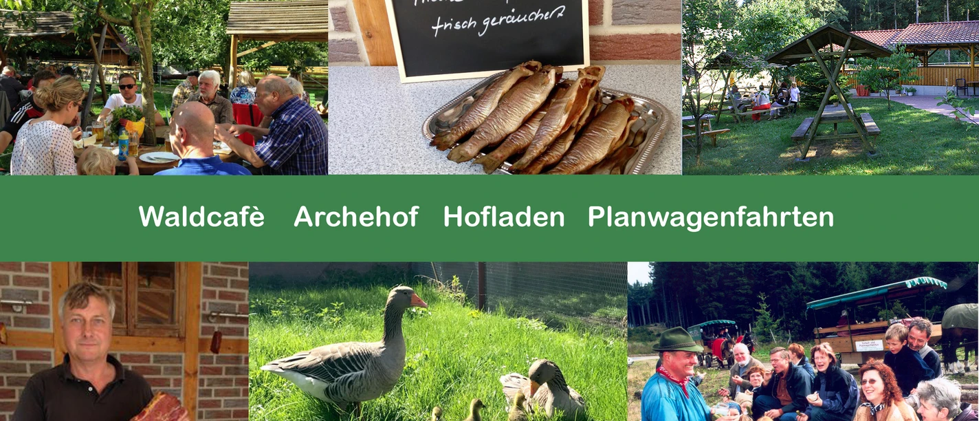 waldcafe-jungborn-bad-harzburg