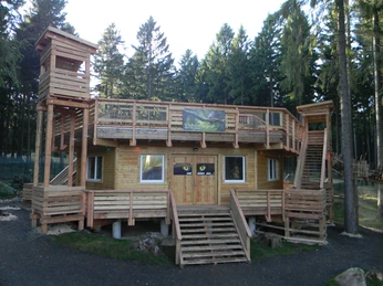 wildkatzengehege-bad-harzburg