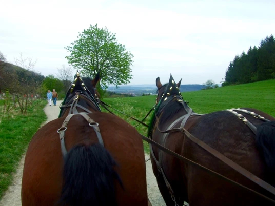 kutsch-und-planwagen-fahrten-bad-harzburg