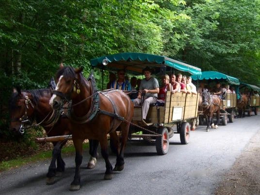 kutsch-und-planwagen-fahrten-bad-harzburg