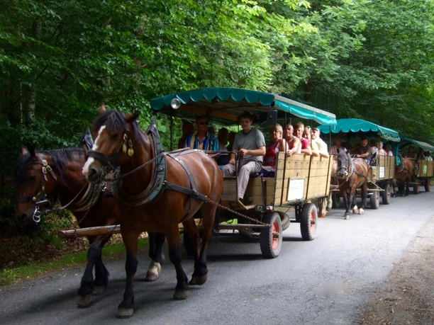 kutsch-und-planwagen-fahrten-bad-harzburg