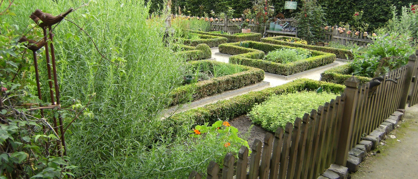 Kräuterhof Rosen Begrenzter Kräutergarten mit niedrigen Buchshecken, Wegen und Holzzaun im Grünen des Emslands