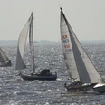 Segelregatta