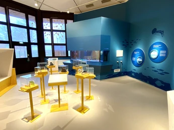 Ausstellung Nationalpark-Haus Thema Sommer