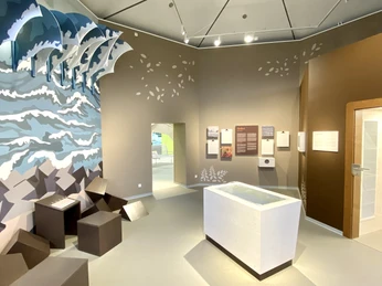 Ausstellung Nationalpark-Haus Thema Herbst