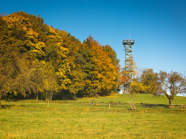 gehrenbergturm-im-herbst-2