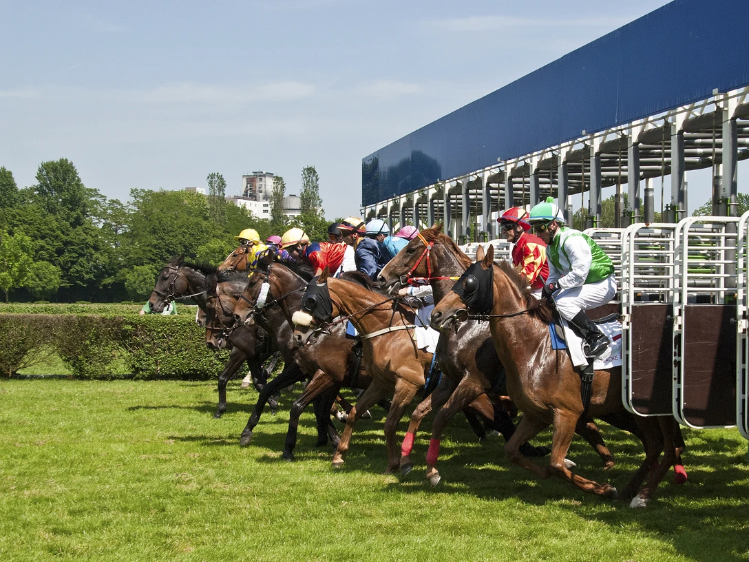 Galopprennbahn Raffelberg Pferderennenstart mit Jockeys in farbenfroher Rennkleidung auf grünem Gras bei sonnigem Wetter.